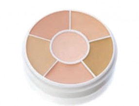 Total Cover-All Concealer Wheels(토탈 커버올 컨실러)