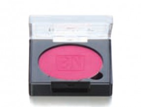 Powder Blush(블러셔)