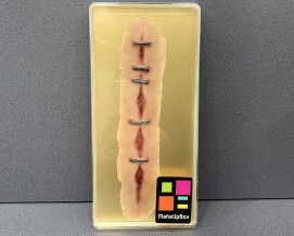 3D 실리콘 슬랩 1호-A