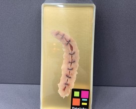 3D 실리콘 슬랩1호-D