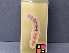 3D 실리콘 슬랩1호-D